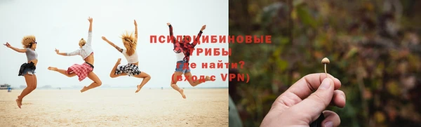 Альфа ПВП Арсеньев