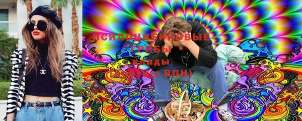 Альфа ПВП Арсеньев