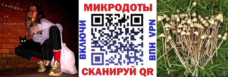 Галлюциногенные грибы Cubensis  Иркутск 